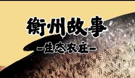 衡州故事生态园