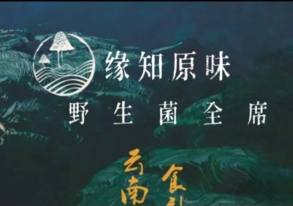 缘知原味·野生菌全席