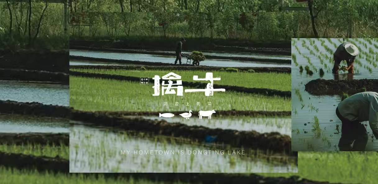 擒牛