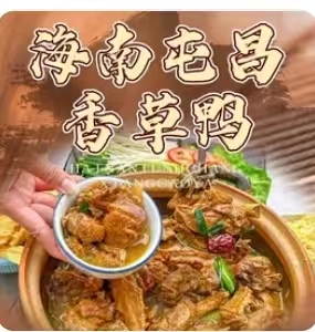 海南屯昌香草鸭