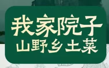 我家院子