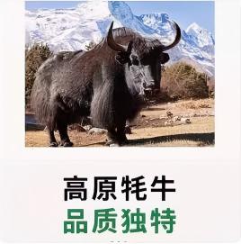 老字号格尔木第一家退骨牛肉