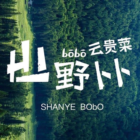 山野卜卜·云贵菜/万象汇店