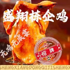 盛翔栋企鸡