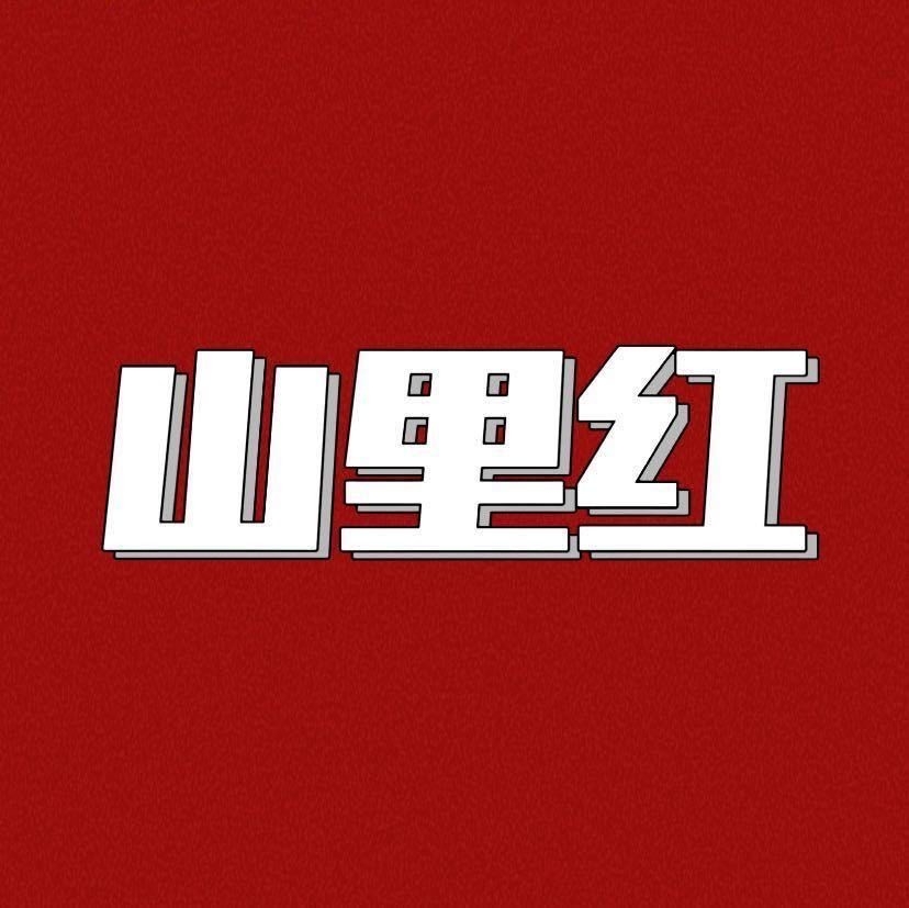 山里红柴火铁锅炖