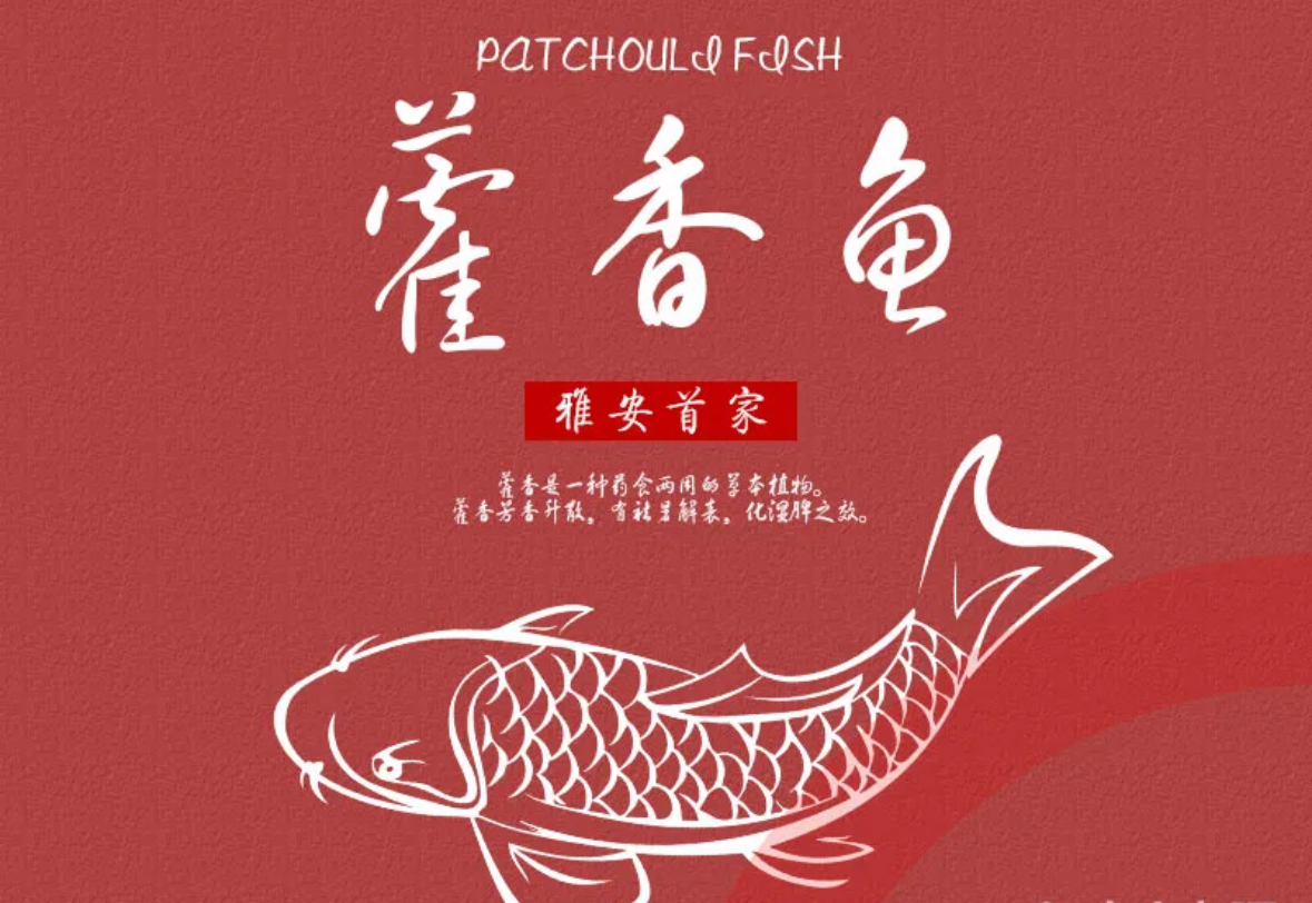 老字号怡玺.藿香雅鱼/20年雅安店